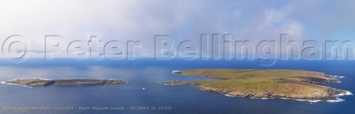 Peter Bellingham Photography North Neptune Islands - SA (PBH3 00 25753)